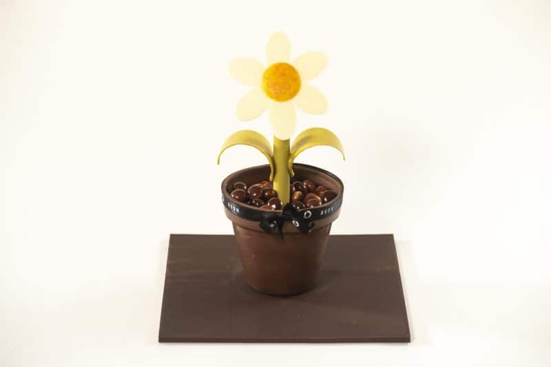 Bloemetje van chocolade